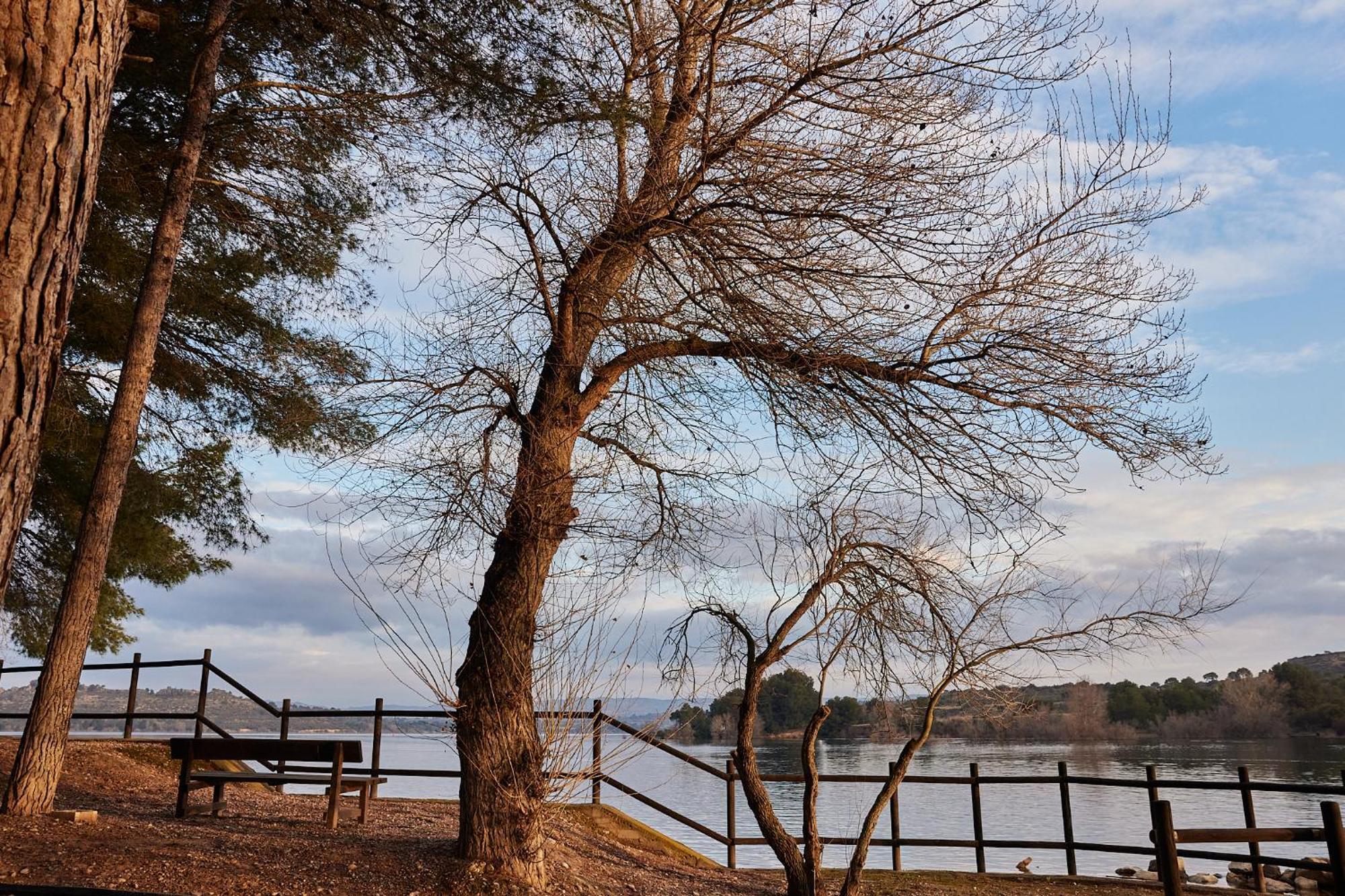 Taiga Lake Caspe Luaran gambar